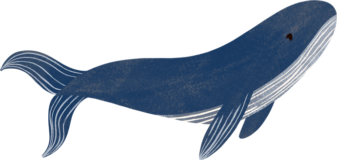 Textured Storybook Whale