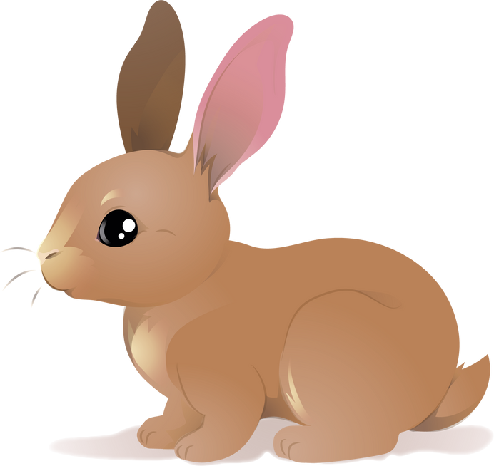 Cute Cartoon Rabbit