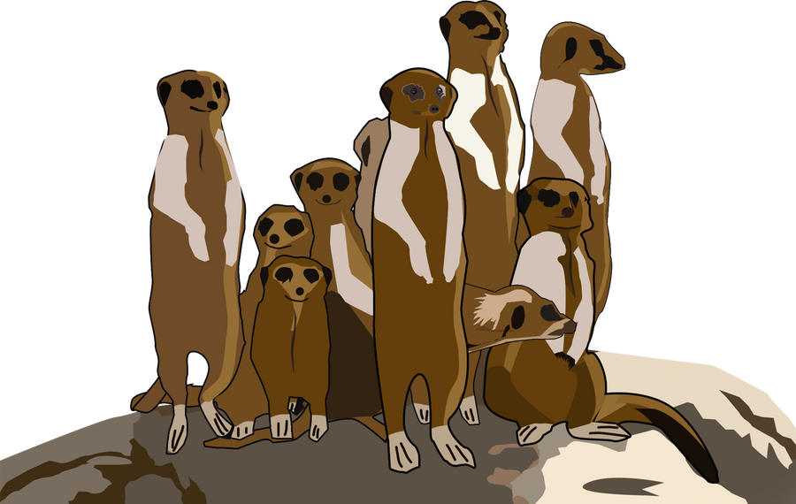 Group of Meerkats